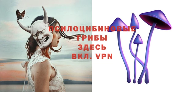 не бодяженный Арсеньев
