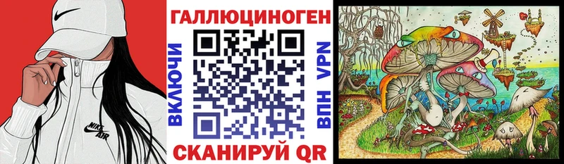 Псилоцибиновые грибы Psilocybe  Унеча 